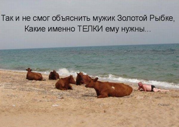 Анекдоты про море