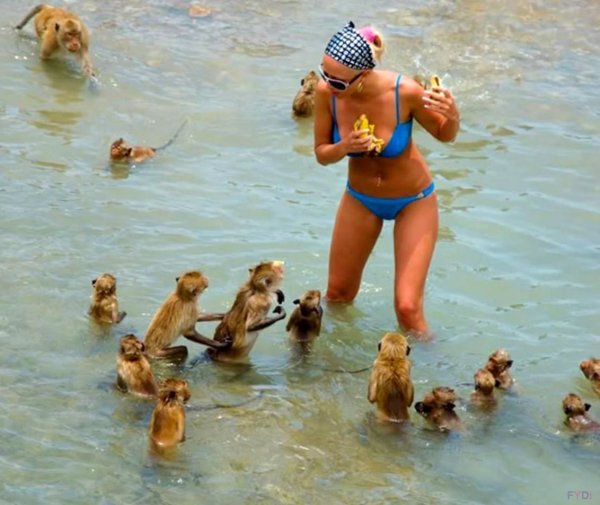 Веселый пляж