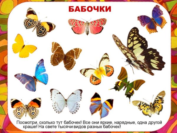 Бабочка для дошкольников