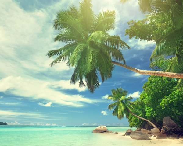 Парадиз остров Карибского моря