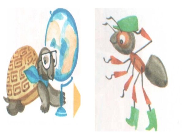 Муравьишка вопросик и мудрая черепаха