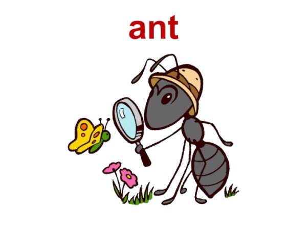 Муравьишка вопросик