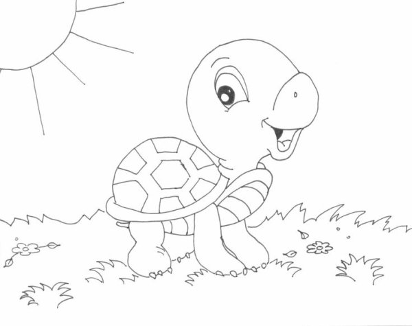 Раскраски для девочек черепаха