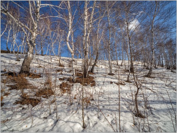 Март в Сибири