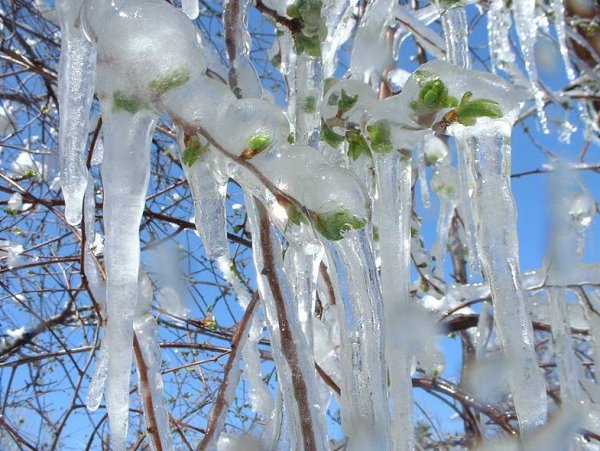 Марья Зажги снега 14 апреля