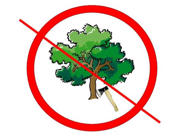 Знак не ломать ветки