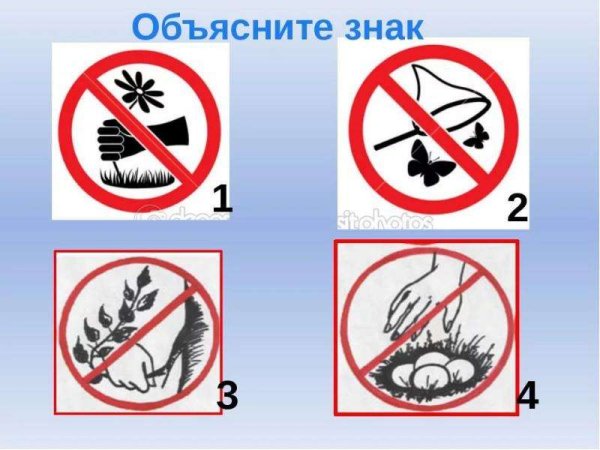 Запрещающие знаки в лесу