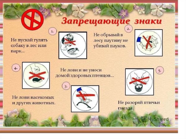 Запрещающие знаки в природе