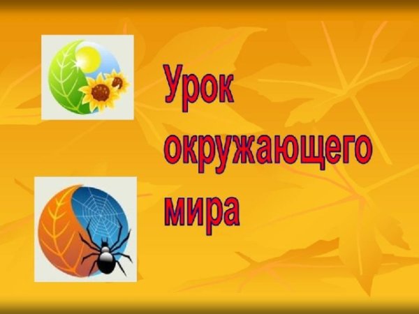 Урок окружающего мира