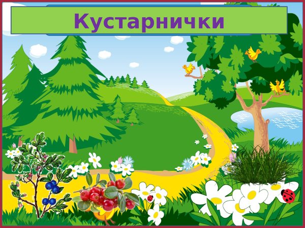 Урок окружающий мир