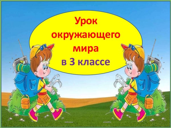 Урок окружающего мира