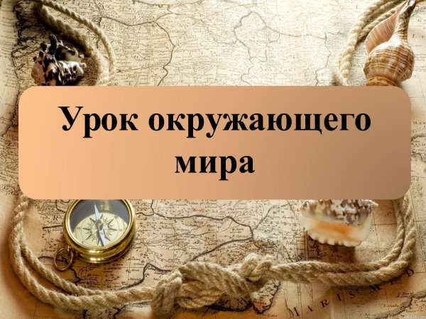 Урок окружающего мира