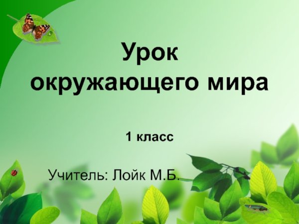 Урок окружающего мира