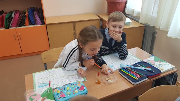 Урок окружающий мир