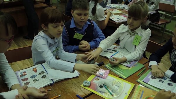 Урок окружающего мира в начальной школе