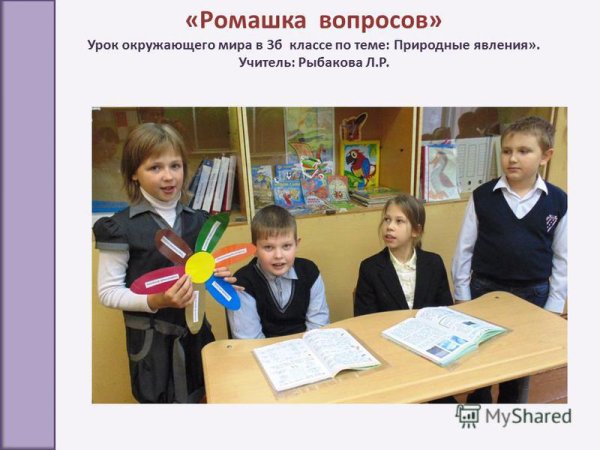 Урок окружающего мира в начальной школе