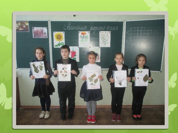 Урок окружающего мира в начальной школе