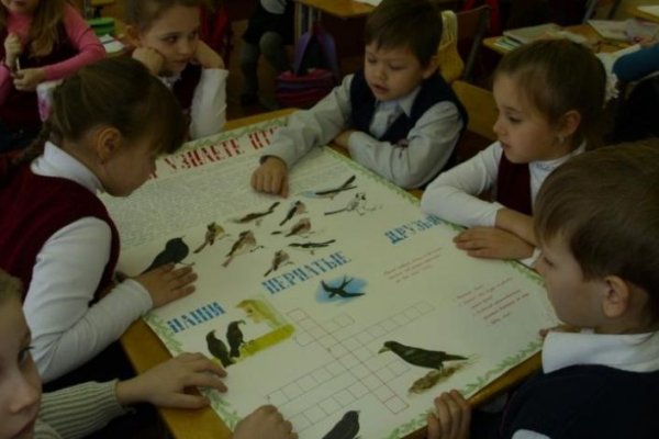 Урок окружающего мира