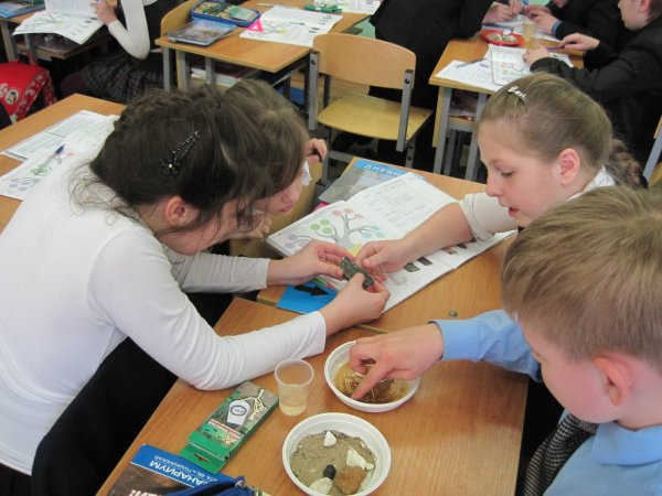 Исследование в начальной школе