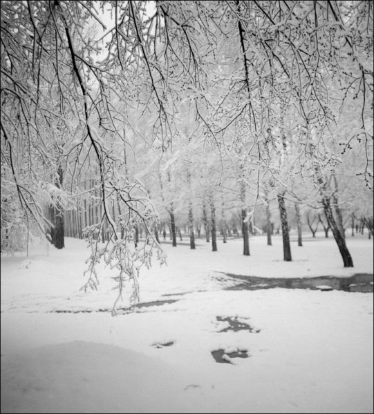 Снежный май