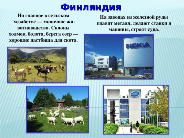 Что интересного в Финляндии