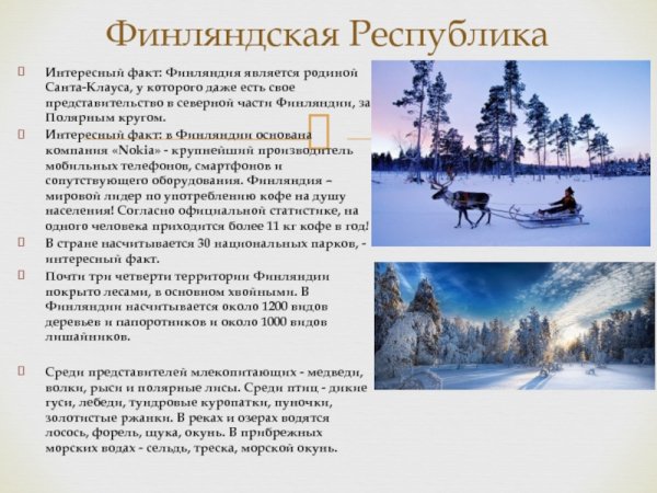 Интересные факты о Финляндии