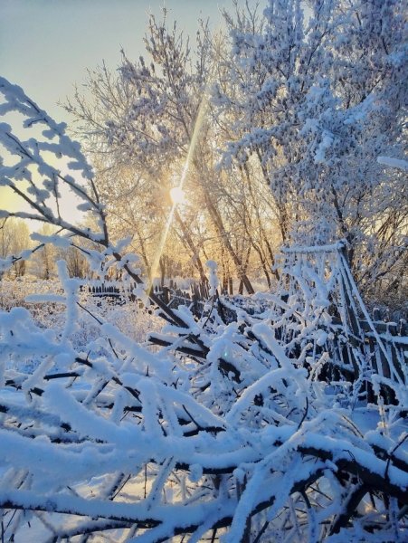 Снежное утро в деревне