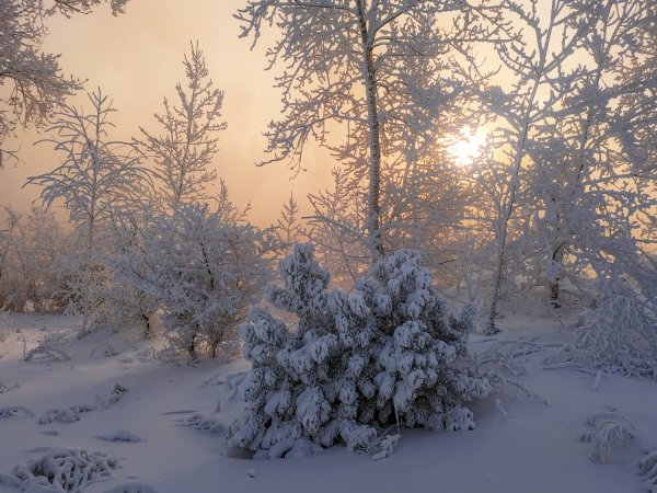 Морозное утро фото