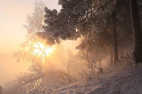 Солнечные лучи зимой