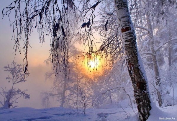 Февральский пейзаж
