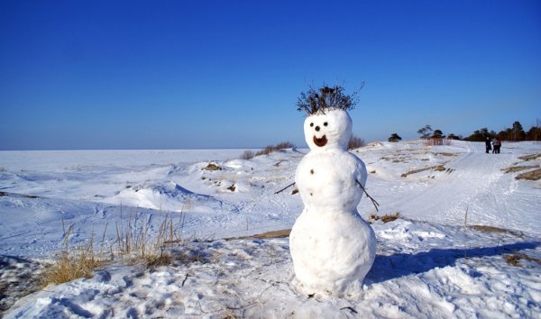 Растаявший Снеговик