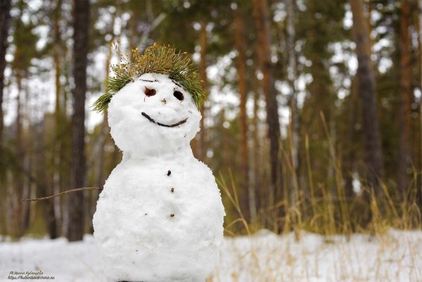 Снеговик женщина