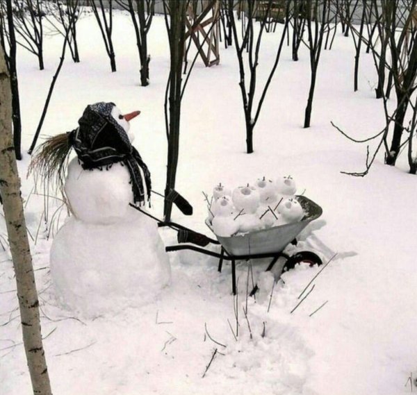 Приколы про снег