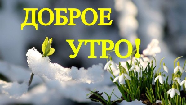 Доброе утро 2 дня до весны