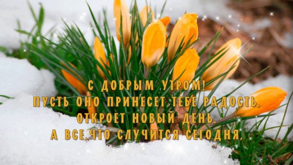 С добрым весенним снежным утром