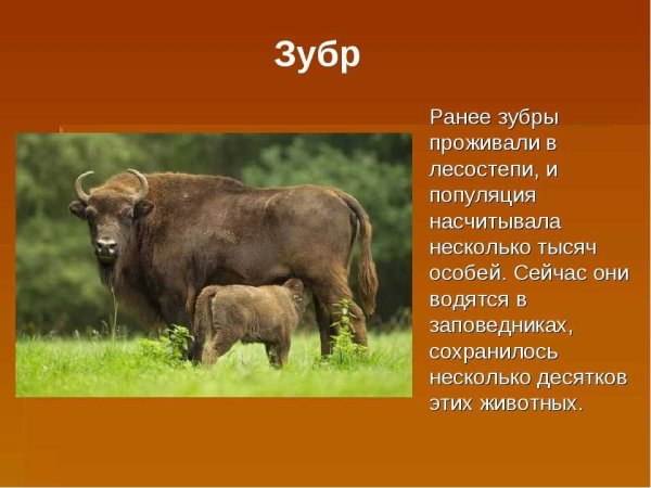 ЗУБР красная книга
