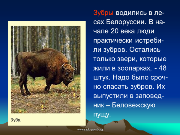 ЗУБР красная книга 2 класс окружающий мир