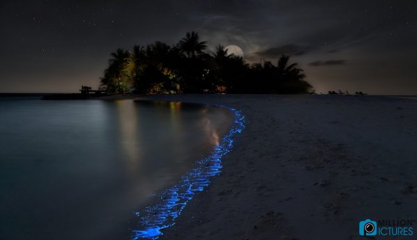 Остров Ваадху