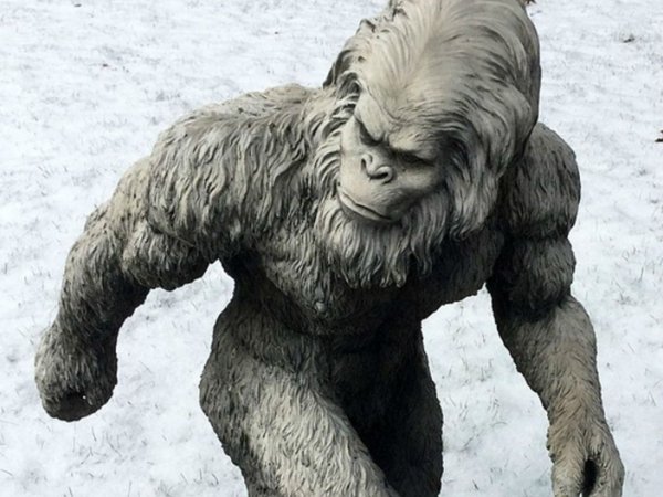 Йети в Гималаях