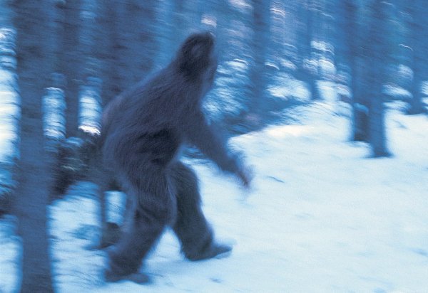 Снежный человек в Татарстане