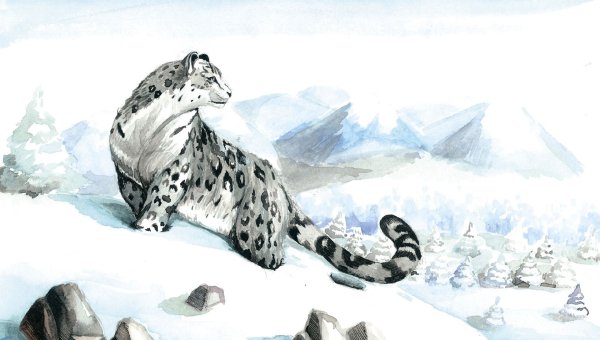 Владыка горных вершин снежный Барс