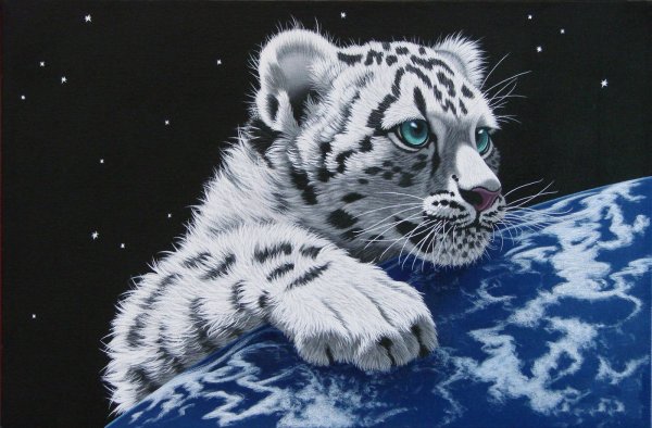 ШИМ Шиммель