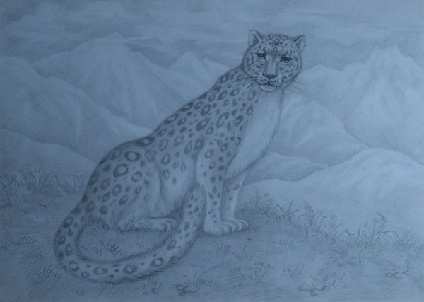 Снежный Барс (Ирина Кукрусова)