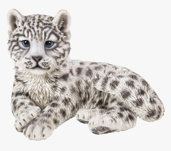 Снежный Барс на белом фоне