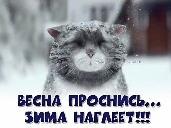 Опять пришла зима