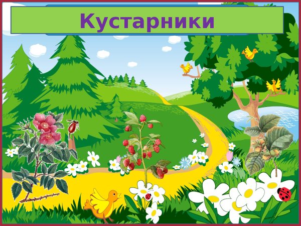Урок окружающий мир 3 класс