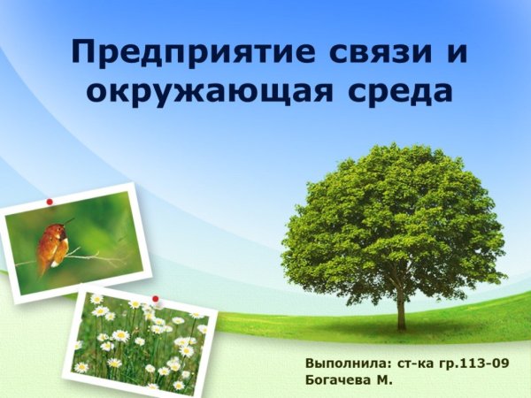 Моя малая Родина