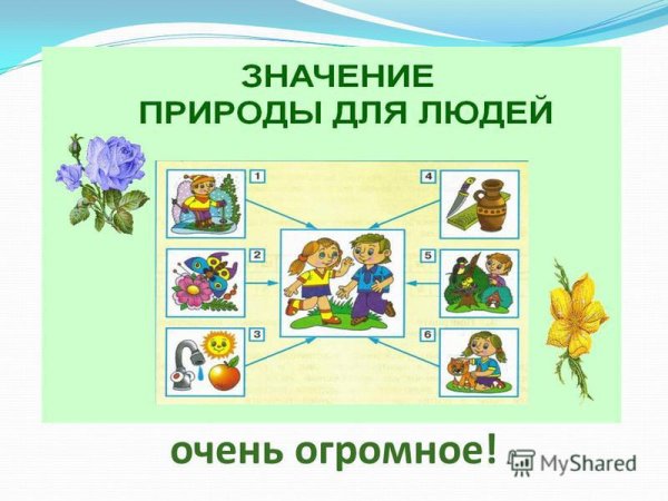 Проект на тему окружающий мир