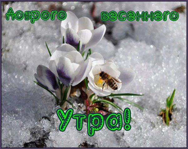 1 Марта Весна