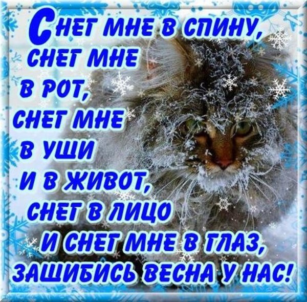 С первым весенним снегом